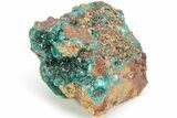 Sparkling Dioptase Crystals with Mimetite - N'tola Mine, Congo #209691-1